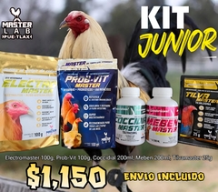 KIT JUNIOR - comprar en línea