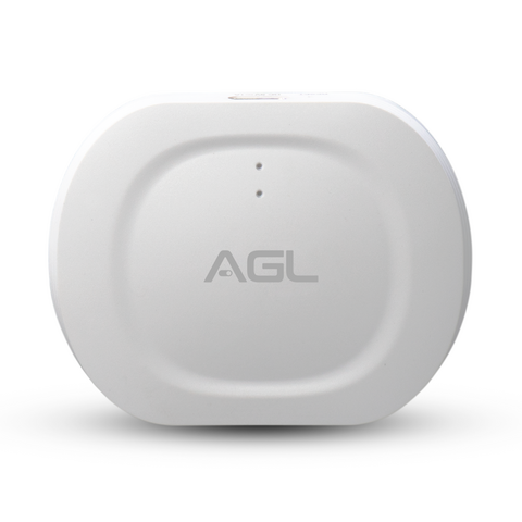 Central Zigbee inteligente zigbee smart wifi AGL