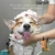 Shampoo Vegano Pet - 6 em 1 - 200 mL - para cães e gatos - Ona Pet