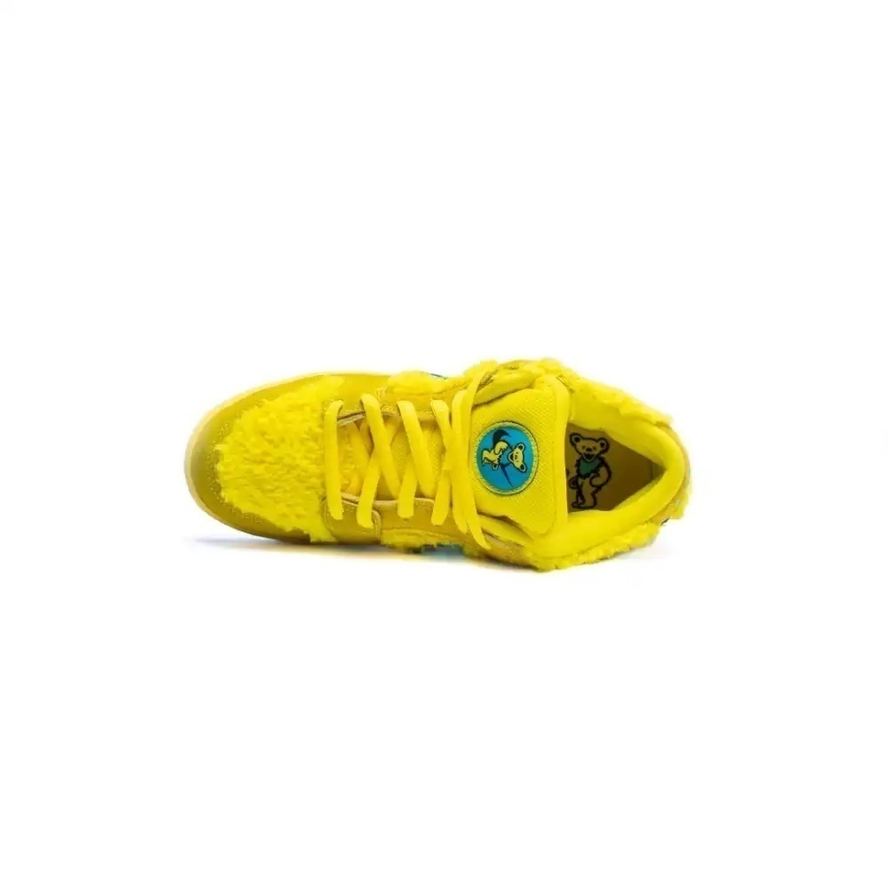 Nike 2025 sb bear