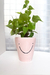 Smiley Pink Ceramic Planter | Unique Handmade Decor for plants