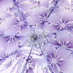 Imagen de Paraguas transparente Sakura
