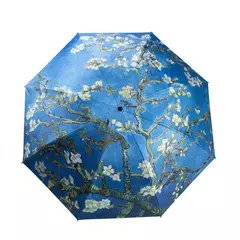 Paraguas Van Gogh en internet