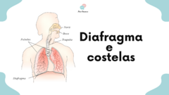 Diafragma e costelas