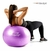 Bola de Exercícios 65cm Hidrolight - Roxa - comprar online