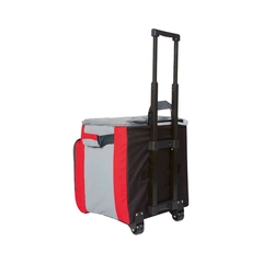 Hielera Trolley Plegable Con Asa De Mano - Vantastiks