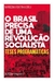 O Brasil Precisa de Uma Revolução Socialista - Teses Programáticas - Autor: Mariúcha Fontana (org.) (2018) [usado]