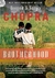 Brotherwood - Dharrma, Destiny, And The American Dream - Autor: Deepak Chopra And Sanjiv Chopra (2013) [usado]