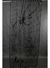 Painel Halloween Teia Aranha Preto 0,97 X 2,13 Cm Decorativo - comprar online