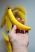 Banana de Feltro - loja online