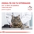 Royal Canin Gastrointestinal Feline - tienda online