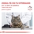 Royal Canin Mature Consult - tienda online