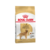 Royal Canin Golden Retriever