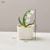 Vaso Decorativo Minimalista para Plantas - loja online