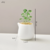 Vaso Decorativo Minimalista para Plantas - comprar online