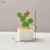 Imagem do Vaso Decorativo Minimalista para Plantas