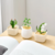 Vaso Decorativo Minimalista para Plantas - comprar online