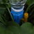 Conjunto de Irrigadores com Gotejamento Inteligente | 12 Peças - Compra Azul - Produtos incríveis 