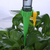 Conjunto de Irrigadores com Gotejamento Inteligente | 12 Peças na internet