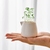Vaso Decorativo Minimalista para Plantas na internet