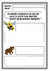 Jogo educativo atividade nome dos animais em inglês fichas pdf digital na internet