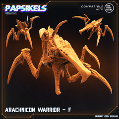 Imagen de ARACHNICON WARRIOR