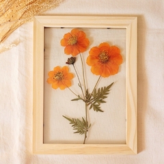 Quadro Cosmos M.