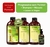 Kit Alisamento Nanoplastia 500 + Shampoo e Máscara Pantovin + Leave-in Vegan