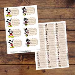 Mega Kit imprimible Etiquetas escolares - mickey y minnie mouse vintage en internet