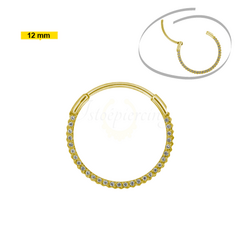 Argola Segmentada Titânio Pvd Gold Dupla 12mm