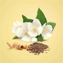 CALVIN KLEIN BEAUTY EAU DE PARFUM – 100ML - ✨Glamour perfumes 