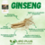 Lipo Plus Ginseng - comprar online
