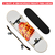 Skate completo Street Iniciante First Class - Leão de Fogo - comprar online