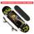 Skate Profissional Perfect Line Montado - Rasta 8.0 - comprar online