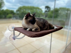 Cama de Janela Suspensa com Ventosa para Gatos Petlon - Marrom na internet