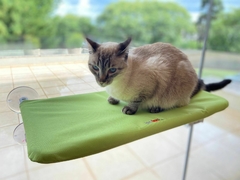 Cama de Janela Suspensa com Ventosa para Gatos Petlon - Verde na internet