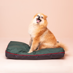 Almofada para Cachorro - Nylon Verde na internet