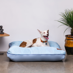 Almofada para Cachorro - Vichy Azul - Mabuu Pet | Os melhores produtos para seu pet