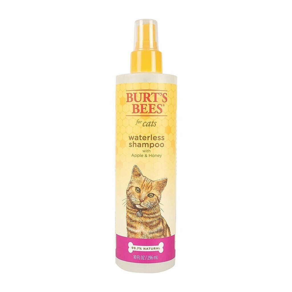 Cat dry shampoo discount