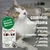 HomeoPet Feline Anxiety Relief - Natural Pet Stress and Anxiety Support for Cats and Kittens - Gotas Homeopáticas para control de estres y ansiedad x 15ml en internet