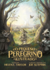 Livro O Pequeno Peregrino Capa Dura - Ilustrado