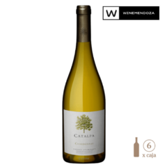 Catalpa Chardonnay (6 botellas x 750cc) - tienda online