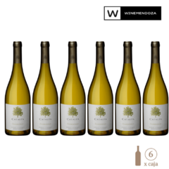 Catalpa Chardonnay (6 botellas x 750cc) on internet