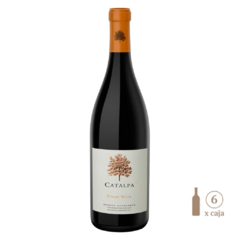 Catalpa Pinot Noir (6 botellas x 750cc) - WINEMENDOZA | Comprar vino online en Argentina - Vinoteca online