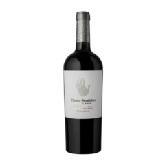 Combo Vinos Imperdibles Mendoza (6 botellas x 750cc)