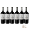 Cinco Sentidos Reserva Malbec (6 botellas x 750cc)