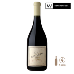 DV Catena Tinto Histórico Malbec-Petit Verdot Apelación Paraje Altamira (4 botellas x 750cc) - loja online