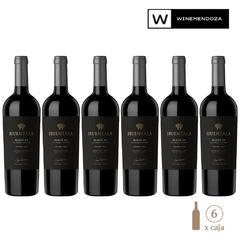 Huentala Block 03 Malbec (6 botellas x 750 cc) en internet