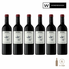 iMatorras Apelación Tupungato Cabernet Sauvignon (6 botellas x 750cc) - WINEMENDOZA | Comprar vino online en Argentina - Vinoteca online - Vinos Premium