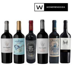 Combo Vinos Imperdibles Ahorro (6 botellas x 750cc) - comprar online